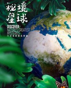 逃离诡异之林