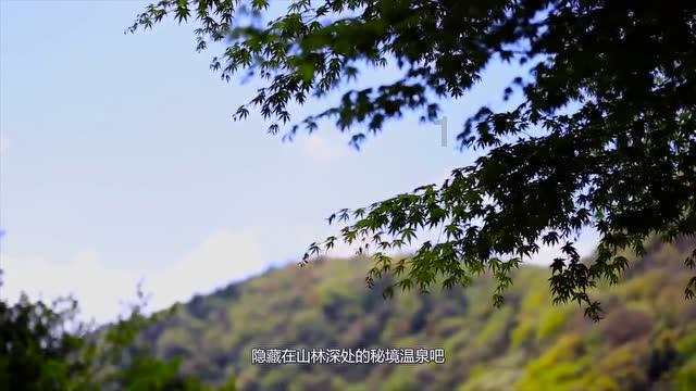 约旦世界排名第87位亚洲第13,国足世界排名第79亚洲第11位