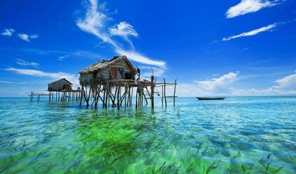 栀子落星海