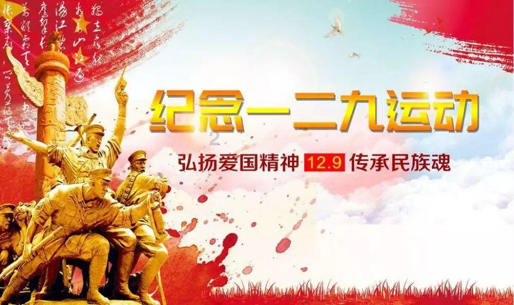虫虫助手下载