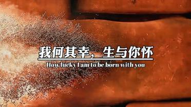 动物帮帮忙保卫家园