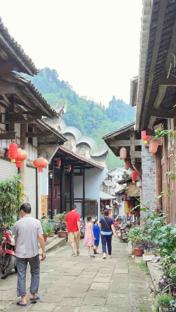 “花苑”飞进居民楼，“一脉三园”的故事更新了！杨浦颁布年度“睦邻”成果