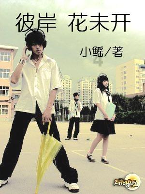 幻想纹章3.4